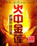 火中金莲txt精校