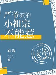 严爷家的小祖宗不能惹笔趣阁