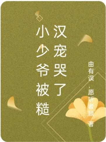 小少爷被糙汉宠哭了(双性)