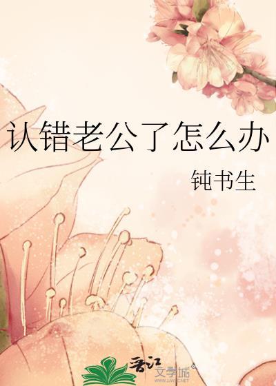 认错老公了怎么办txt