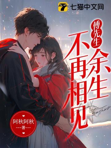 傅先生余生不再相见全文阅读