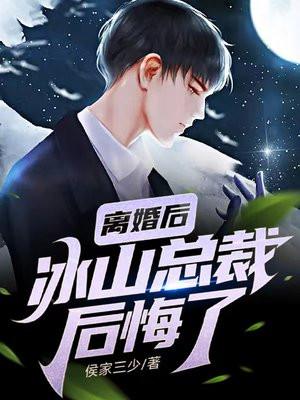 离婚后冰山女总裁后悔了林凡