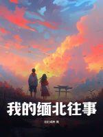 我的缅北往事作者