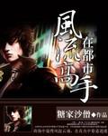 风流高手都市猎艳无删减