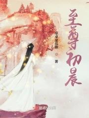 至尊叶辰萧初然免费阅读黄陂天气