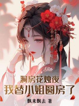 我替小姐圆房了在线阅读