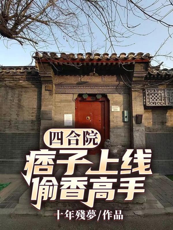 四合院痞子上线偷香高手未删减版