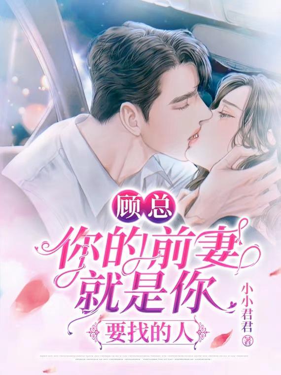 总裁你前妻资产上亿