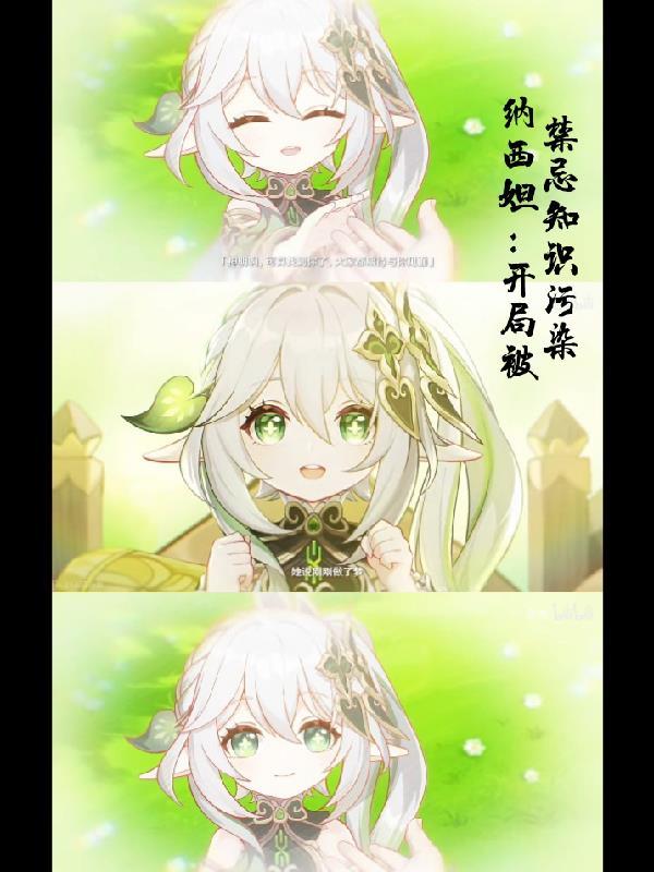 纳西是什么地方