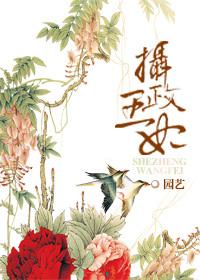 重生之摄政王妃 顾笙