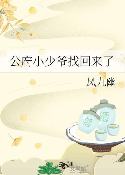 公府小少爷找回来了吗晋江手机版
