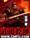 武道乾坤丸子