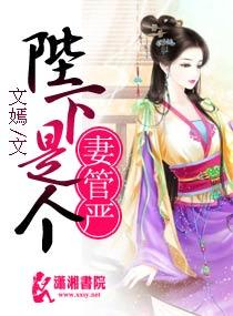 陛下是妻迷评论