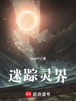 迷踪系列