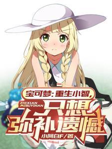 神奇宝贝之小智的重生