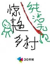 惊艳乡村TXT全文