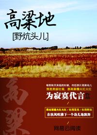 高粱地儿野炕头TXT完本