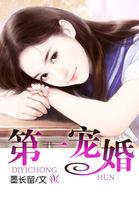 史上第一宠婚冷枭免费阅读