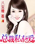 言情总裁的私有宝贝