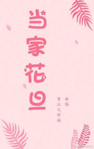 当家花旦txt百度