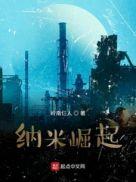 纳米崛起 作者 岭南仨人