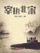 宰执天下和新宋对比