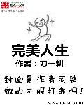 完美人生歌曲