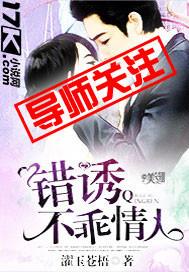 错婚诱情免费阅读