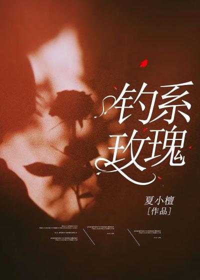 皎皎月光落孤星免费观看全文