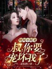 宠妻军婚江少宠妻无节制