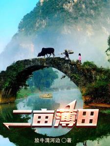 重生山沟农民