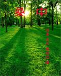 桑螵蛸泡水壮阳要喝多长时间