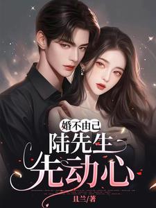 婚不由己陆东宁