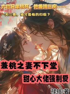 平妻逆袭记