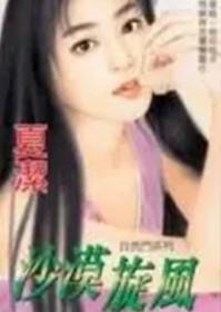 沙漠旋风布鞋