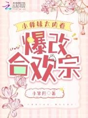 爆改合欢宗qq