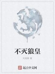 不灭武皇2