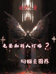 经年觊觎by边羽