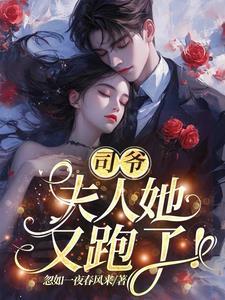 司爷你老婆又逃婚了司暮楚辞
