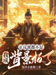 正反派都不是