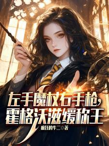 你说这是霍格沃兹?TXT免费阅