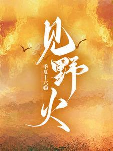 向野火全文txt
