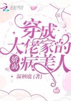 捧在心尖上的病美人