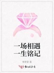 一场相遇一生铭记歌曲完整版