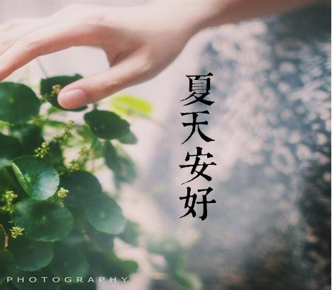 祝夏天安好的古语
