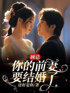离婚后总裁总追我