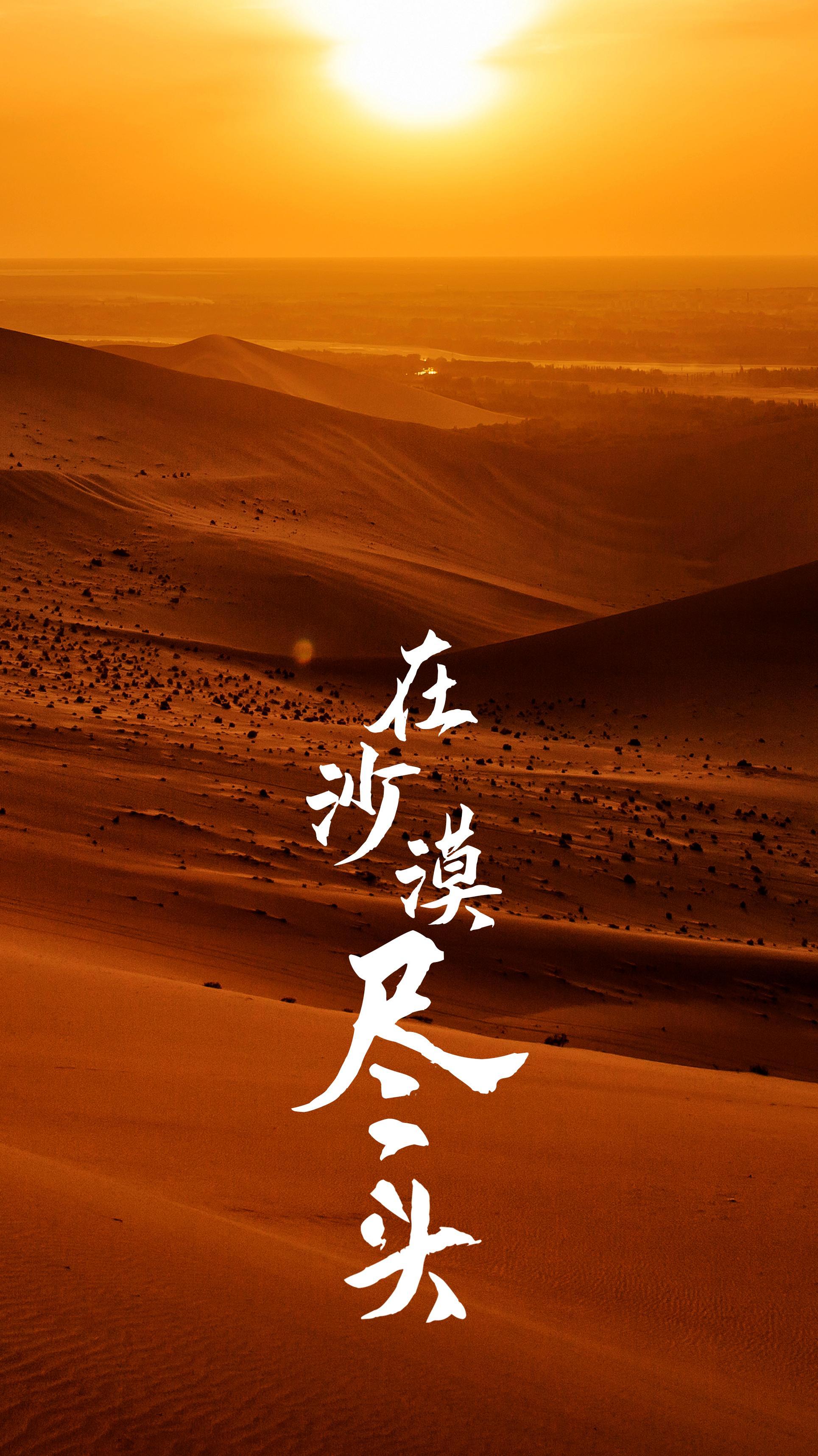 在沙漠