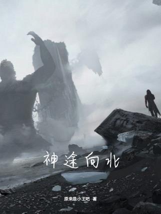 神途向北 原来是小王吧