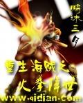 海贼之火拳艾斯海贼王子