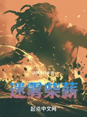 迷雾film